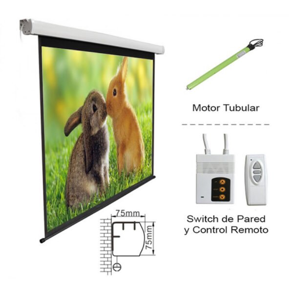 Pantalla P/ Proyector Pared 120 Electr Intelaid"
